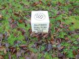 image of grave number 358343